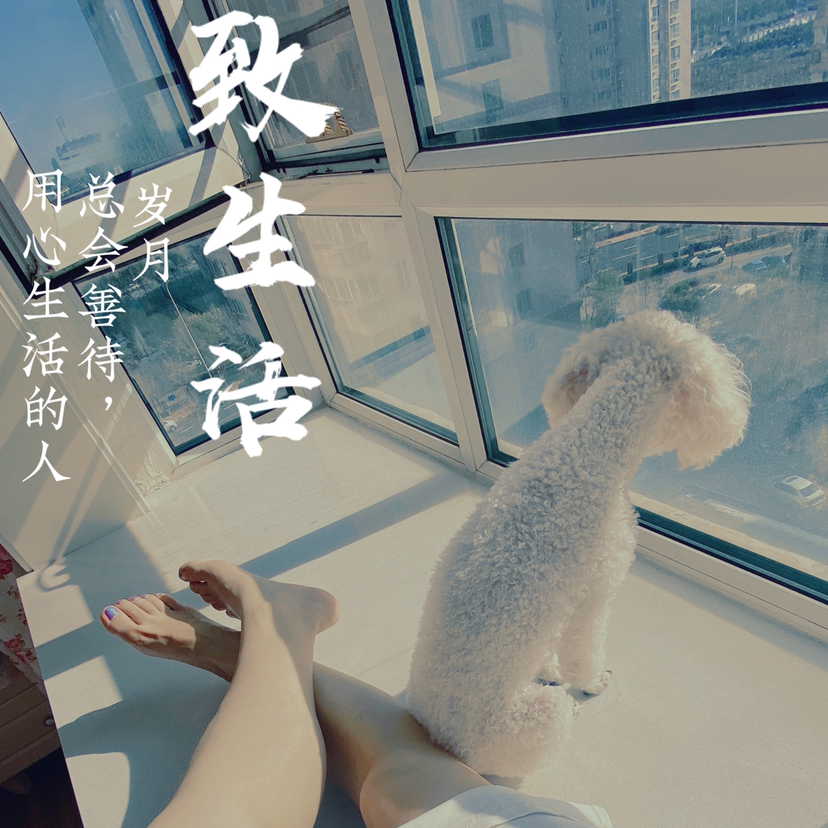 我们好像在哪见过