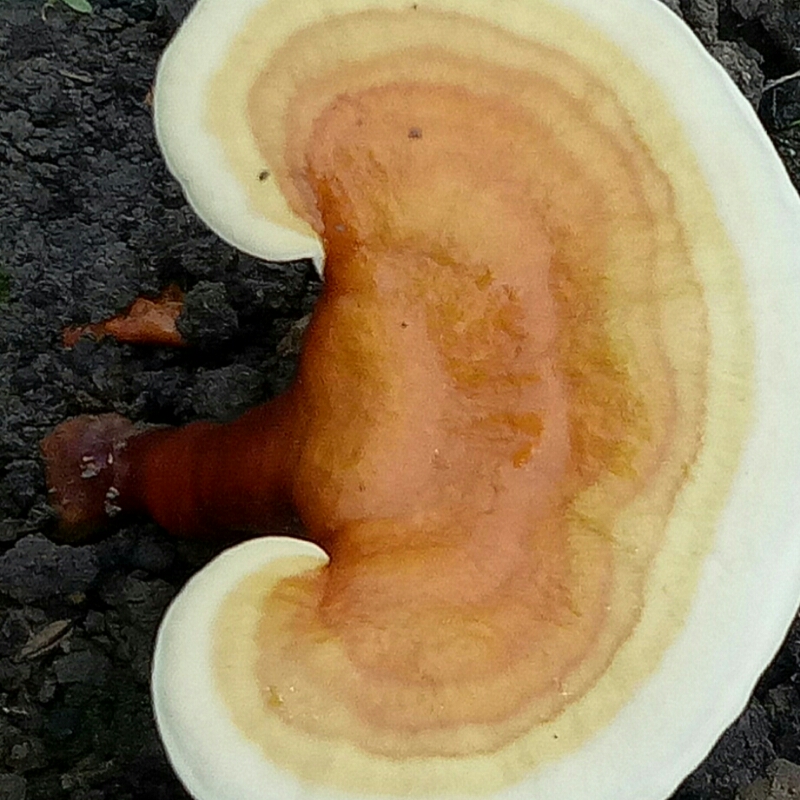 阳光，1976