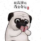 泰迪君和小椰子