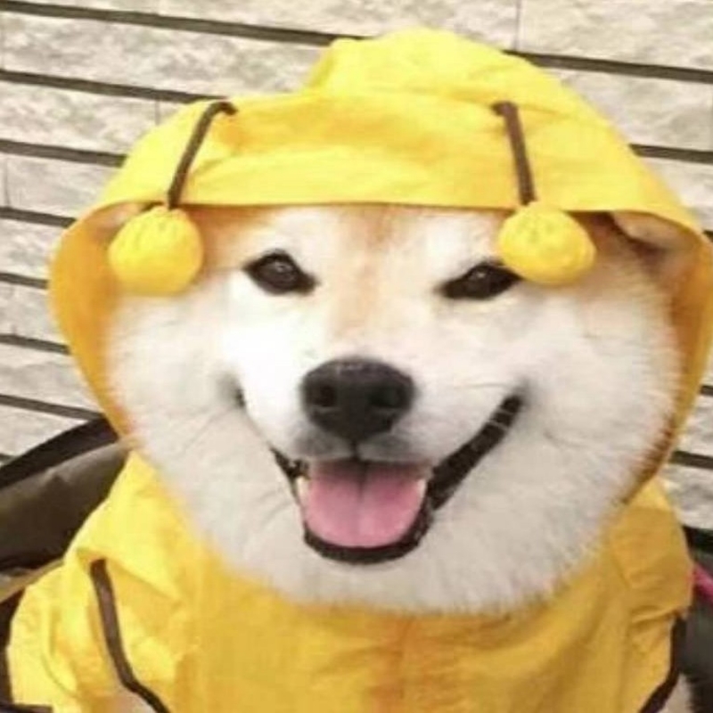 白沙