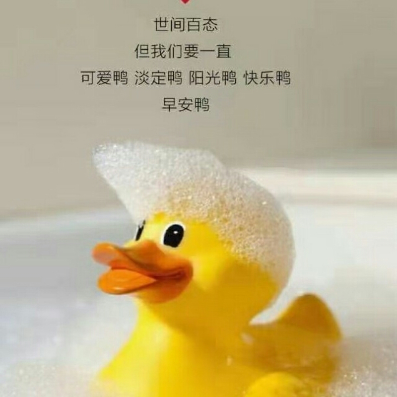 ?小老虎?