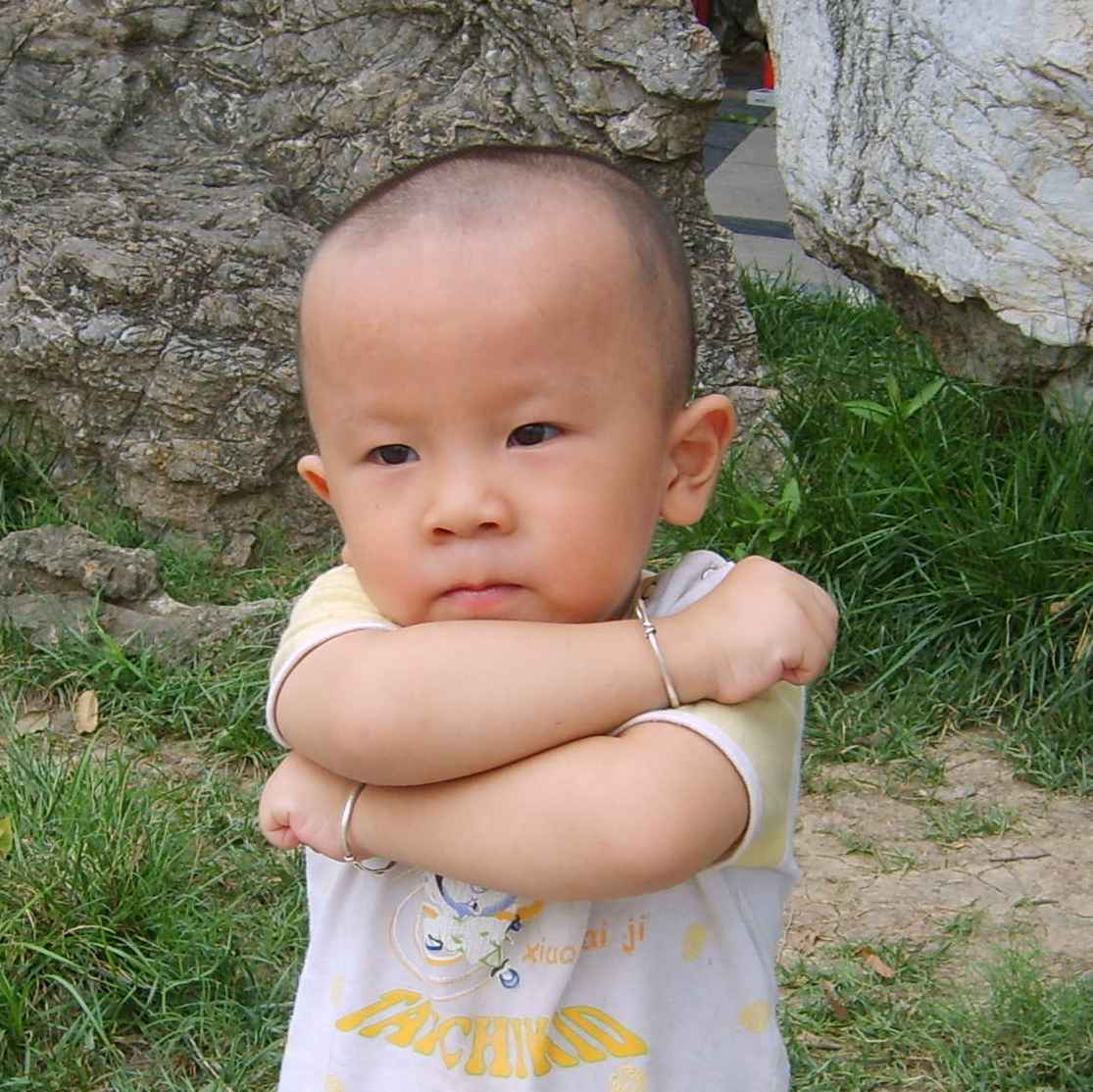 小灰灰
