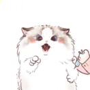 胖妞老公