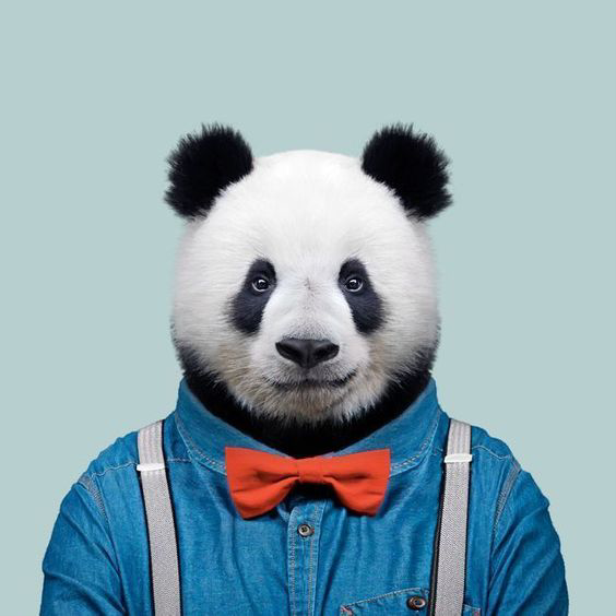 三可两乐