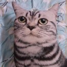 尘埃