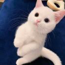 雅如^_^