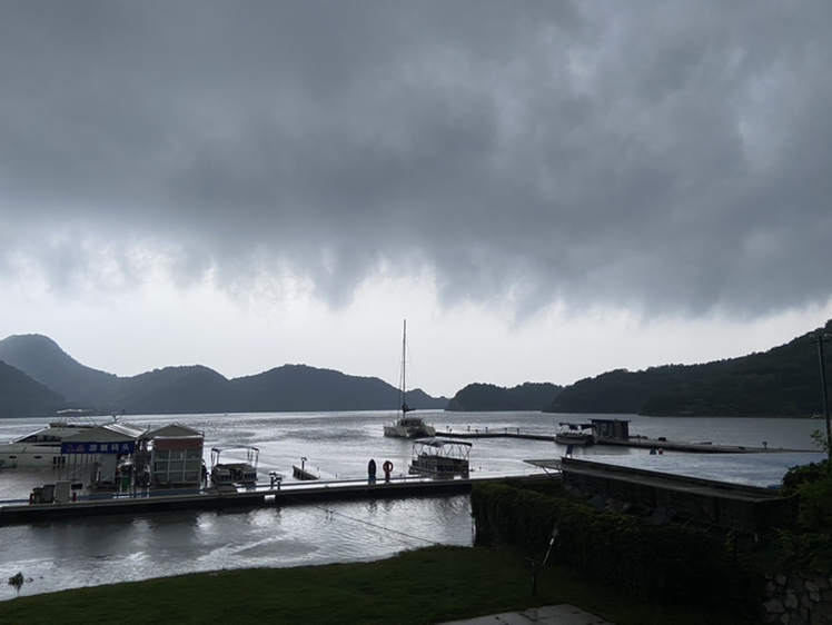 涛哥雨辰