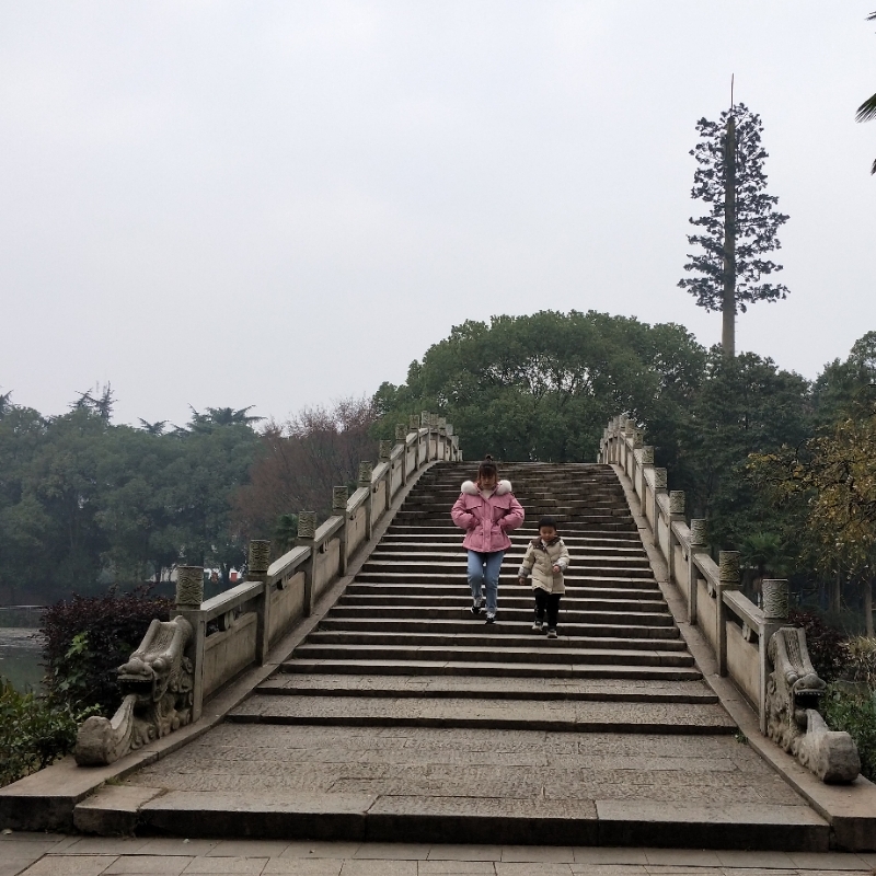 池水尽墨