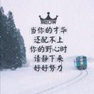 臻臻日上。