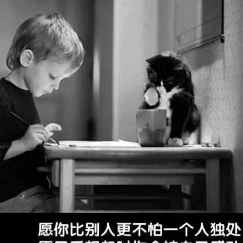 随 遇 而 安
