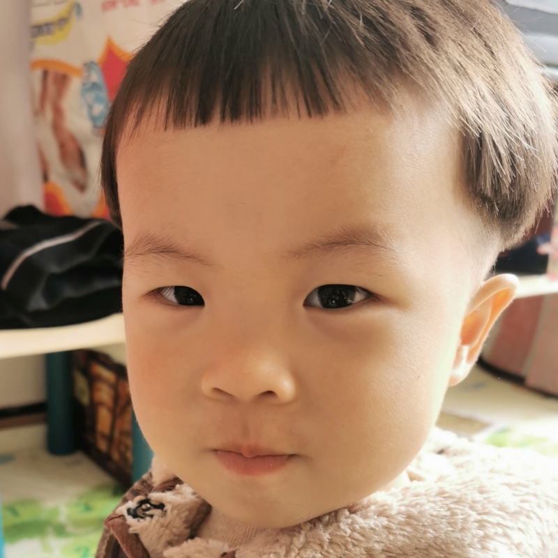 占书春