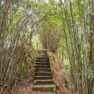 根让拉姆