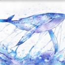 穆丹枫