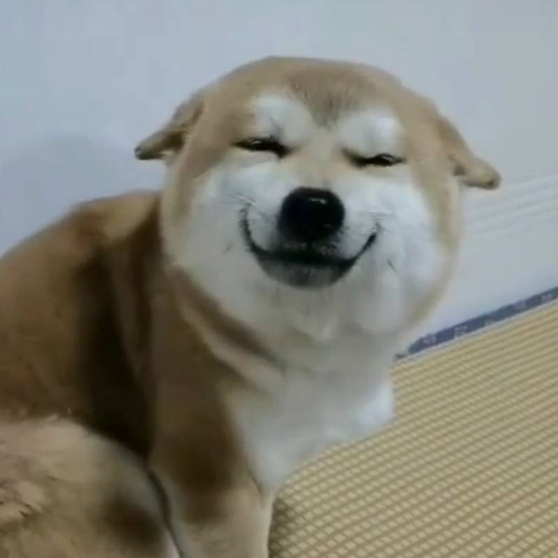 12年义务教育的秀儿