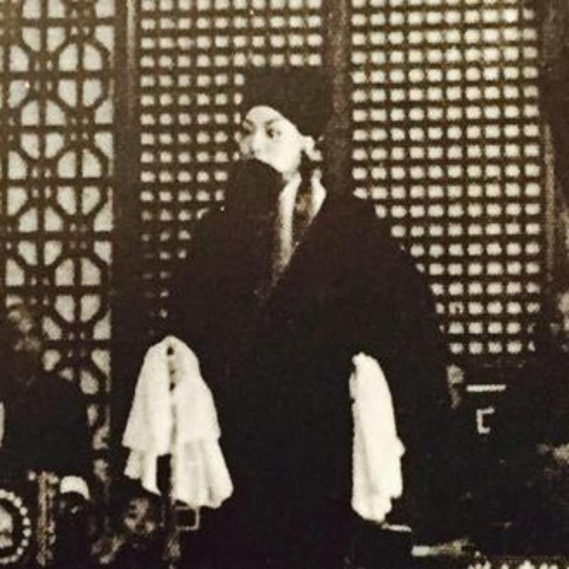 氍毹顽主