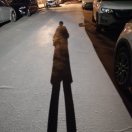 频道蘸大酱