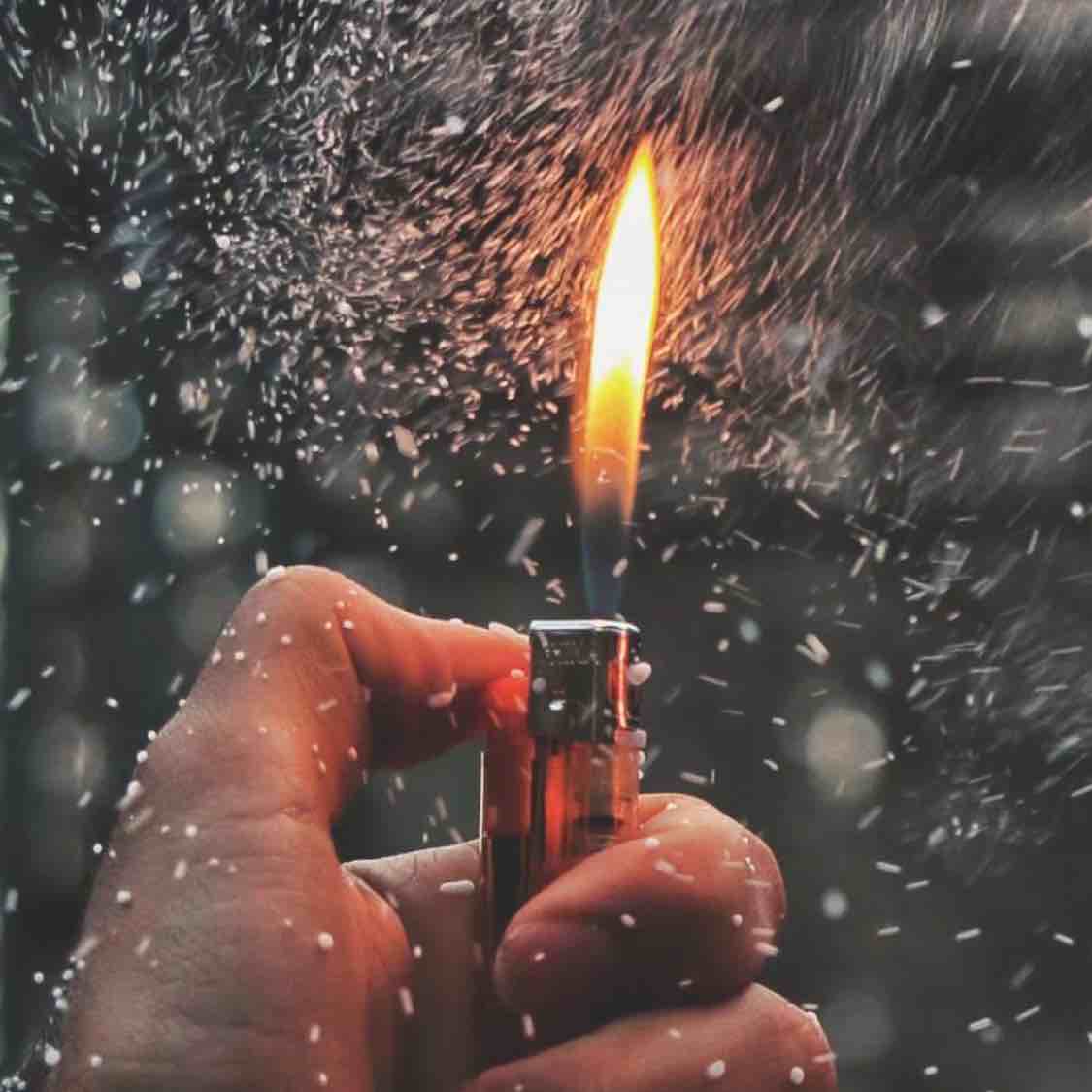 怪扎扎#