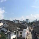 白色蔷薇3