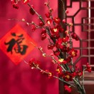 菜根可乐