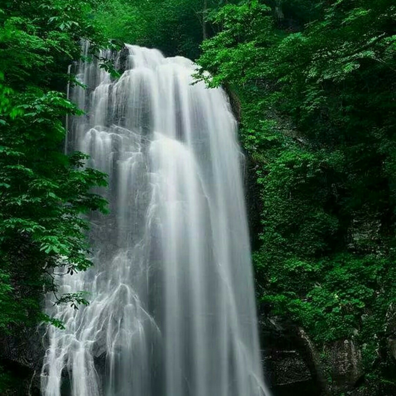 心绪若雨