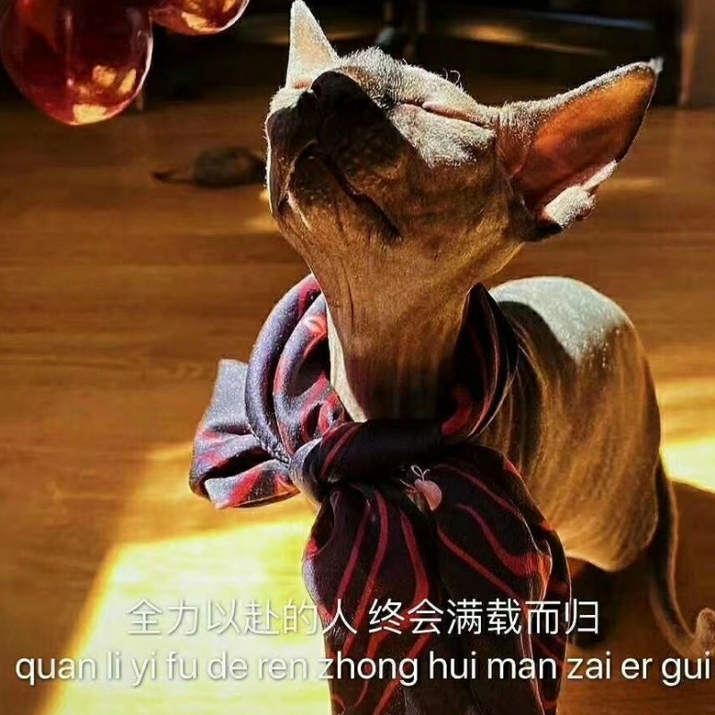 ，诠释