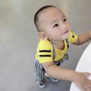 科吉24