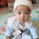 SIL-YBIN