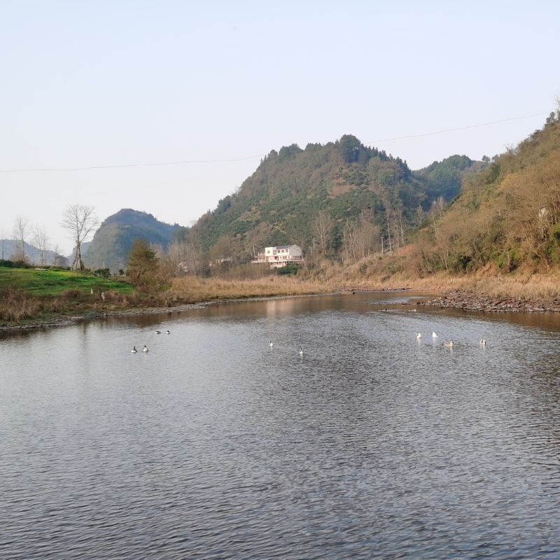 望断天涯路2014