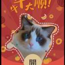 哇啊噜
