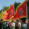 曹非甸