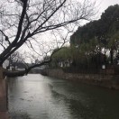 且共从容