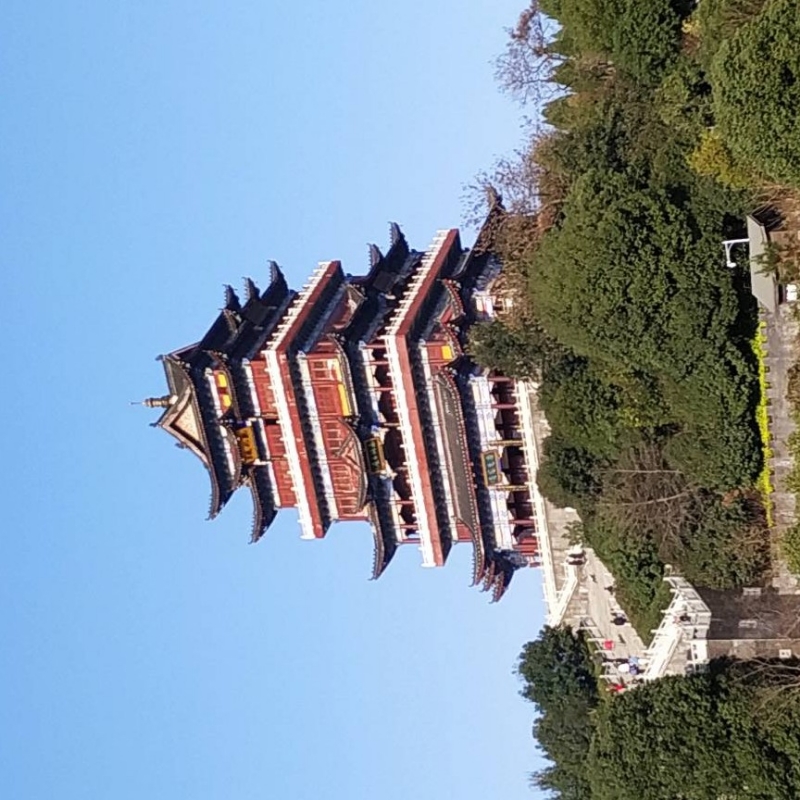 申晓煜