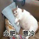 甜品师—石头花也有春天