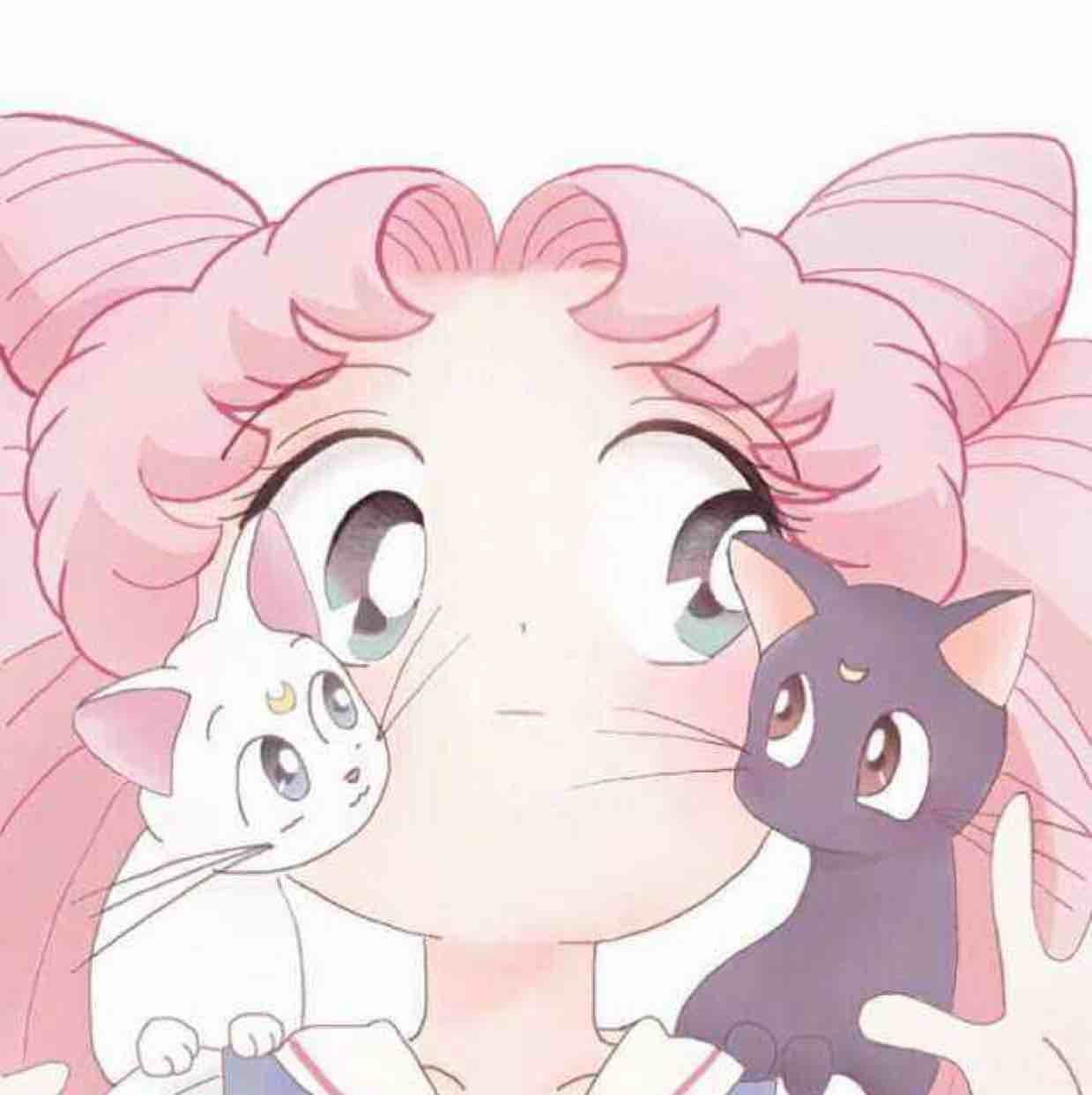 美少女战士安朵儿