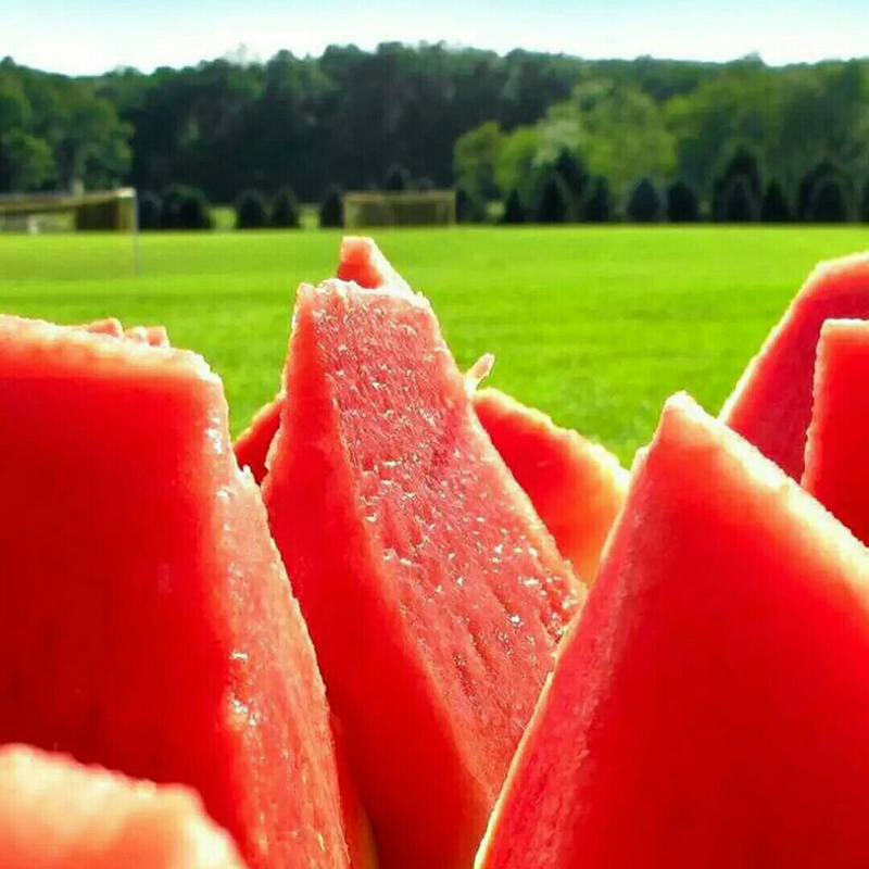 Water_Melon