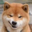 diwuzhangww
