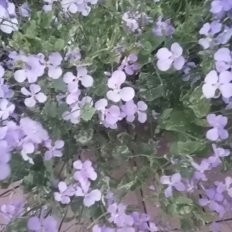 我叫小童