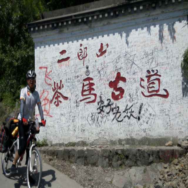 奔牛