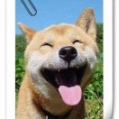 薄眠 抛却陈年事