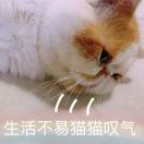 我要爆炸