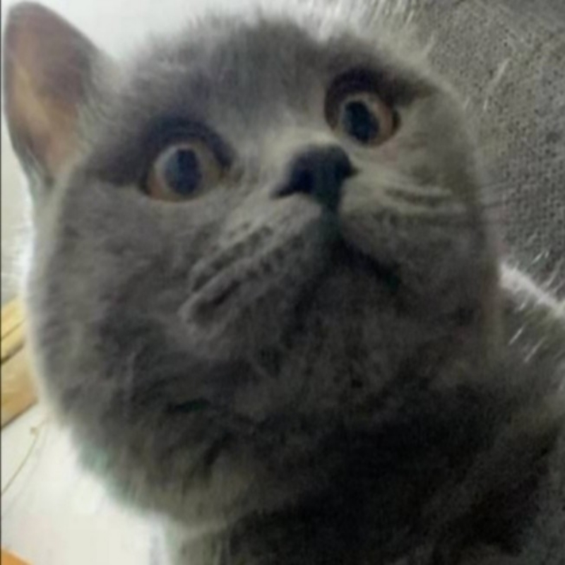 撒库拉又开了