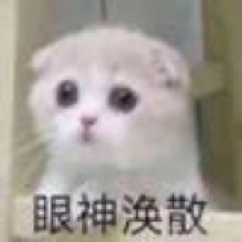 花与风见