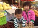 兄弟水果