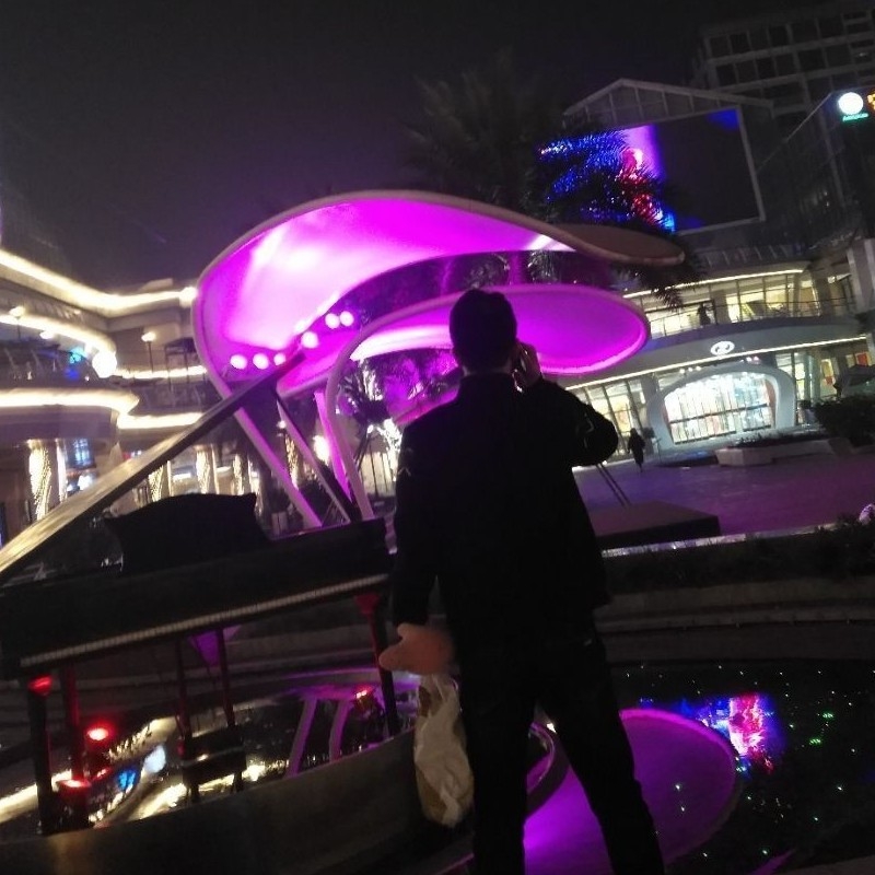 远方孤独的狗啊