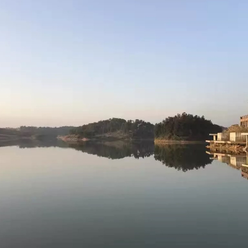 春风洗耳9988