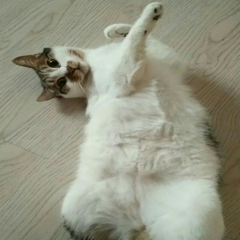 纳兰曼玉儿
