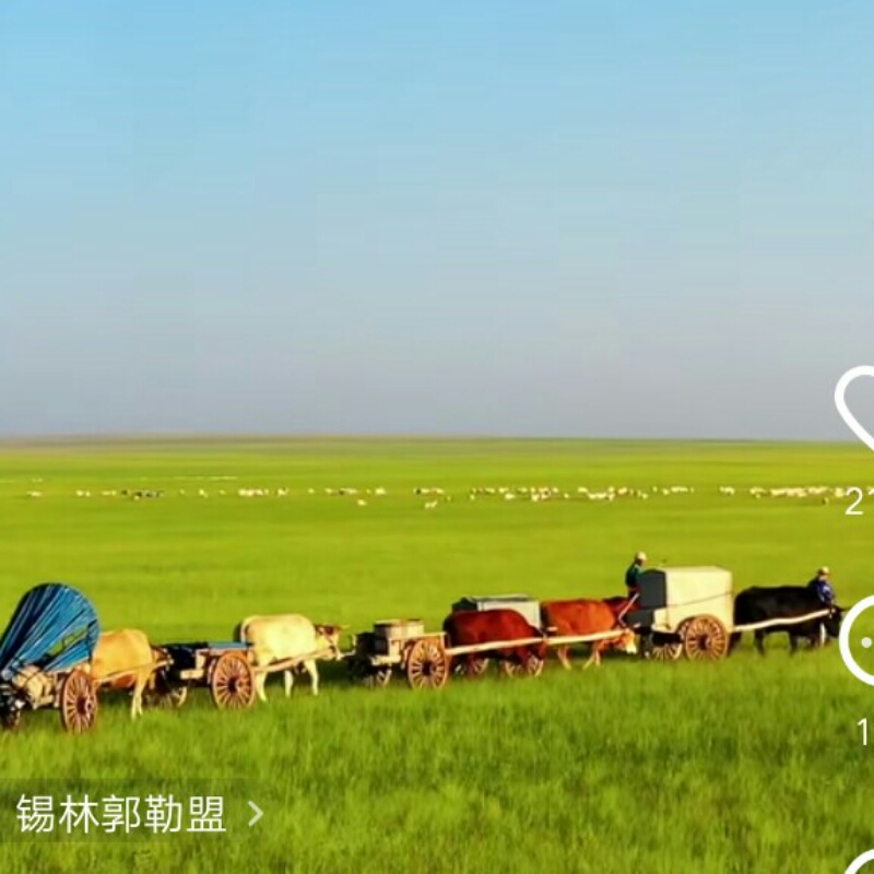 未班车。