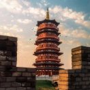 一生无悔