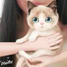 梦幻人生