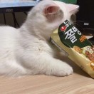 星火—